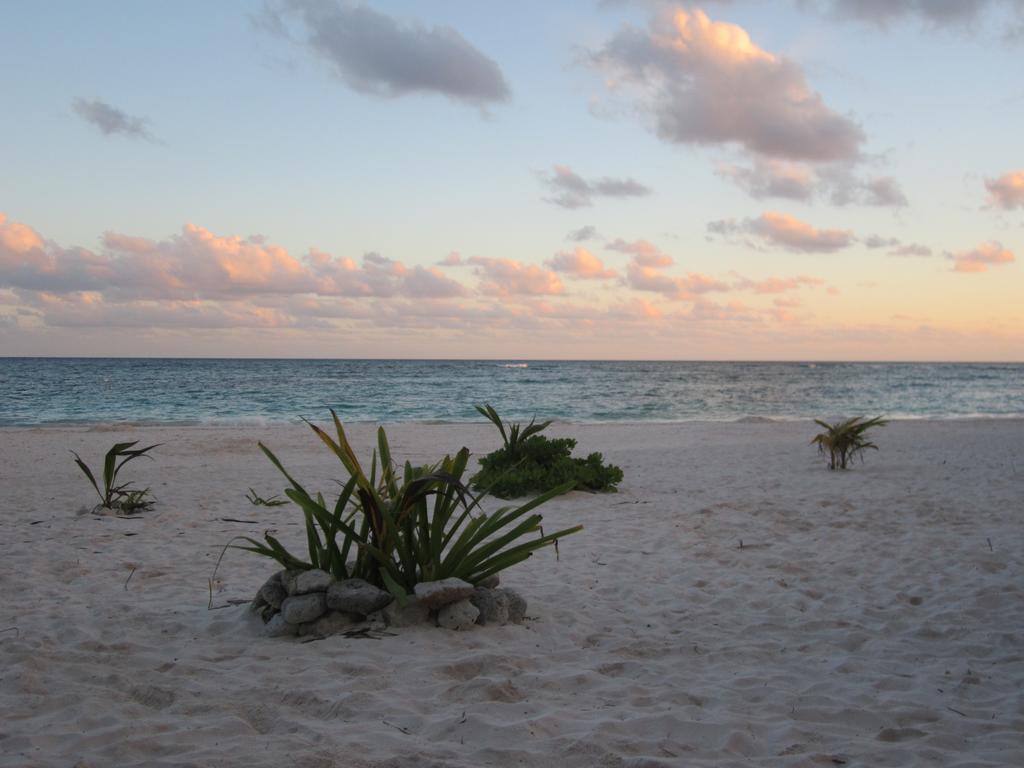 Hotel Appart Depa Center Playa del Carmen Zimmer foto